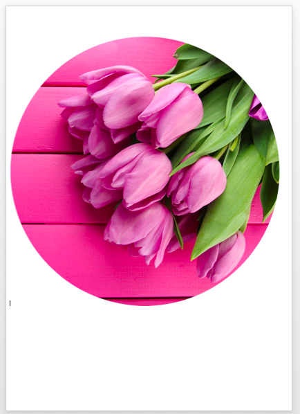 Изображение 8_марта_07